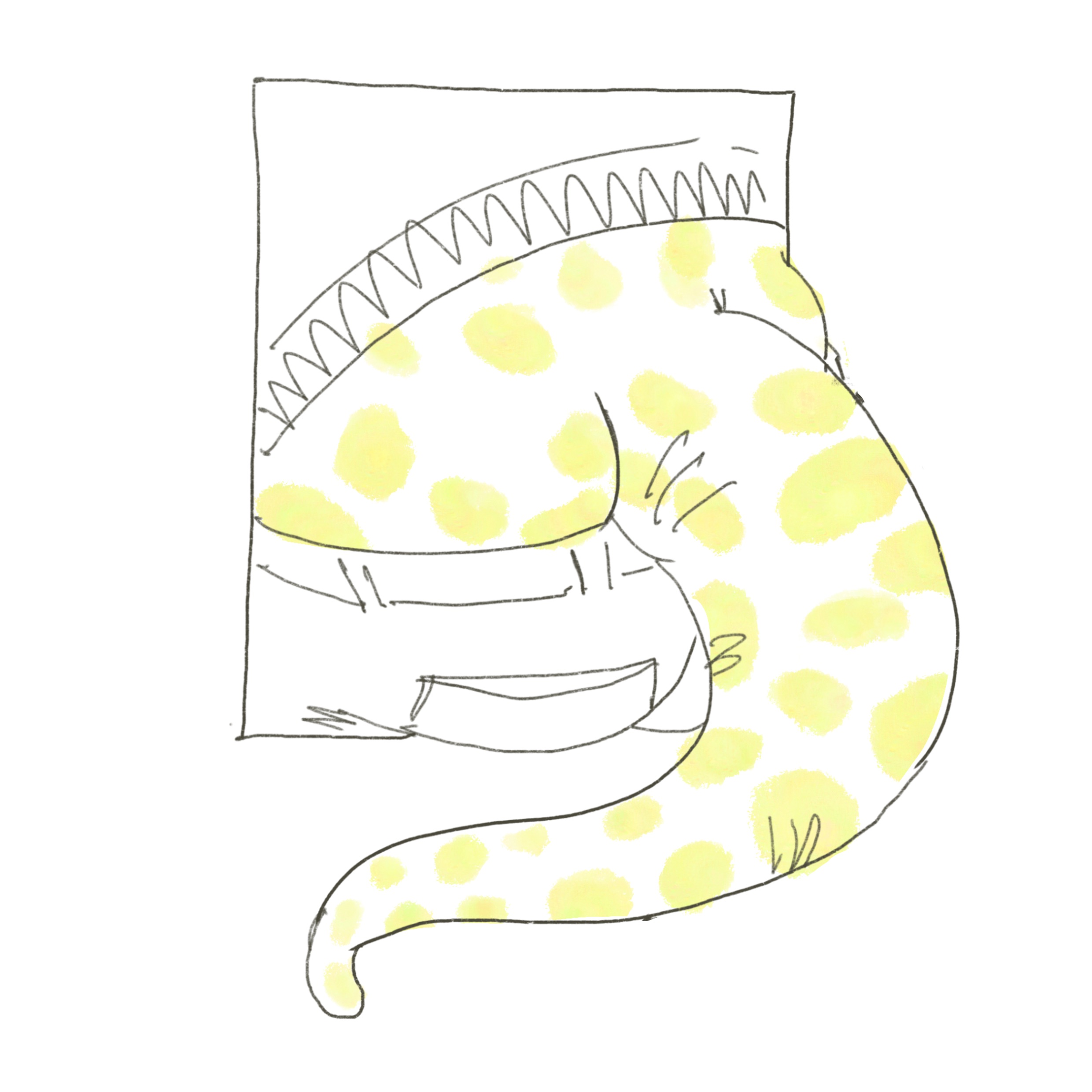 Comic art of Colorful, Comic Commission, Page 2, Panel 2, 2024, Butt panel